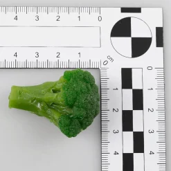 DecoWoerner Platos Y Comida Rápida|Verduras Y Hierbas>Imitación De Brócoli Escaldado, 100 G