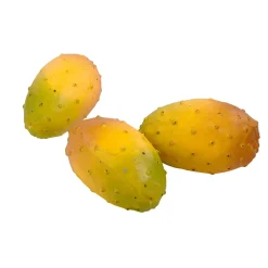 DecoWoerner Frutas>Imitación De Chumberas, 3 Piezas
