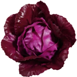DecoWoerner Verduras Y Hierbas>Imitación De Col Lombarda, Ø 13 Cm