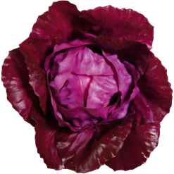 DecoWoerner Verduras Y Hierbas>Imitación De Col Lombarda, Ø 13 Cm