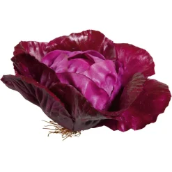 DecoWoerner Verduras Y Hierbas><noscript><img width=