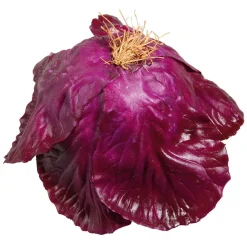DecoWoerner Verduras Y Hierbas><noscript><img width=