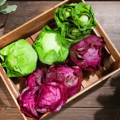 DecoWoerner Verduras Y Hierbas><noscript><img width=