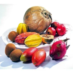 DecoWoerner Frutas>Imitación De Comida Mango Zillate