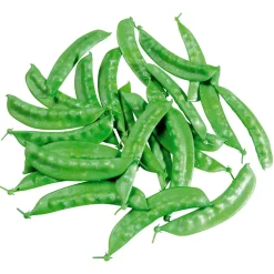 DecoWoerner Verduras Y Hierbas>Imitación De Ejotes, 24 Piezas