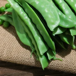 DecoWoerner Verduras Y Hierbas><noscript><img width=
