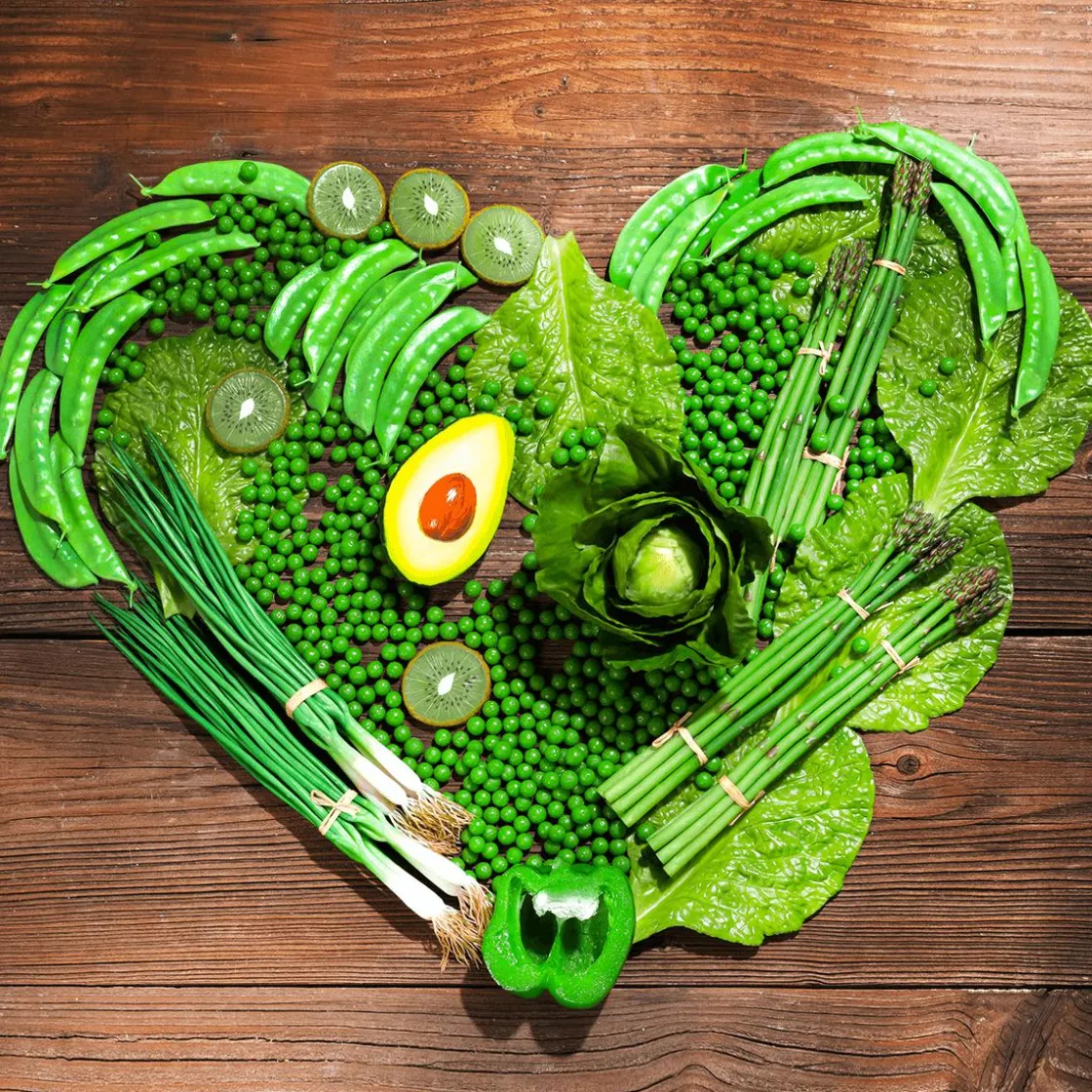 DecoWoerner Verduras Y Hierbas>Imitación De Ejotes, 24 Piezas