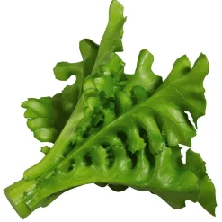 DecoWoerner Verduras Y Hierbas>Imitación De Ensalada De Rúgula, Ø 16 Cm, 2 Piezas