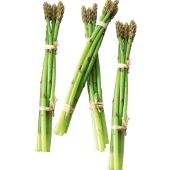 DecoWoerner Verduras Y Hierbas>Imitación De Espárragos s, Paquete Con 4 Piezas