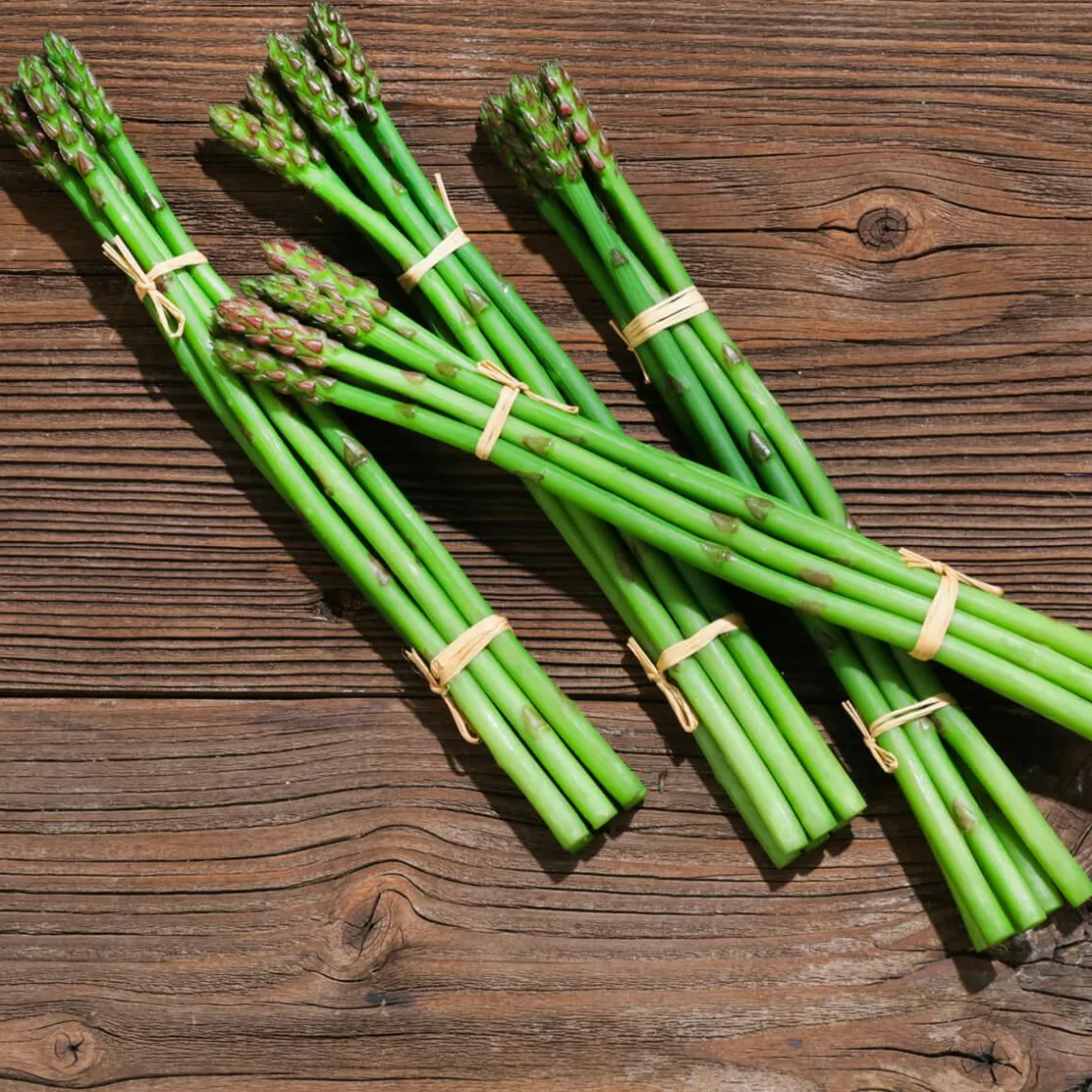 DecoWoerner Verduras Y Hierbas>Imitación De Espárragos s, Paquete Con 4 Piezas