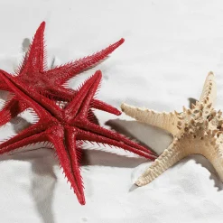 DecoWoerner Decoración De Verano|Pescados Y Mariscos><noscript><img width=