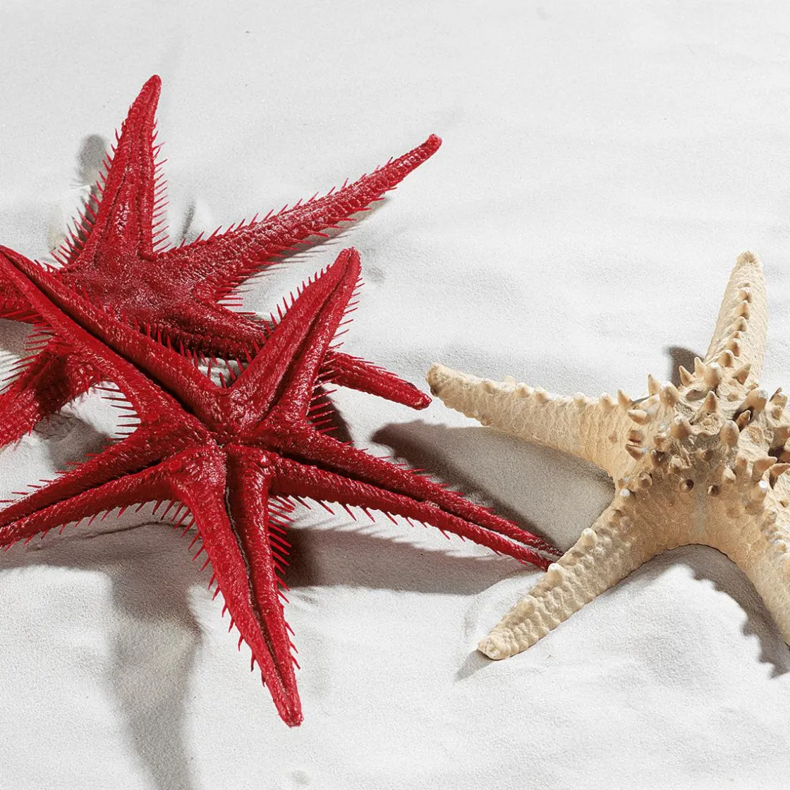 DecoWoerner Decoración De Verano|Pescados Y Mariscos>Imitación De Estrella Do Mar, 2 Piezas