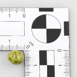 DecoWoerner Platos Y Comida Rápida|Verduras Y Hierbas>Imitación De Guisantes Escaldados 100 G