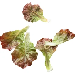 DecoWoerner Verduras Y Hierbas>Imitación De Hojas De Ensalada Comida, 5 Piezas