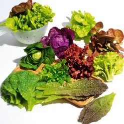 DecoWoerner Verduras Y Hierbas><noscript><img width=