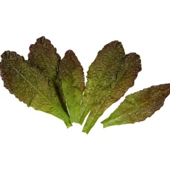 DecoWoerner Verduras Y Hierbas>Imitación De Hojas De Lechuga Romana - Rojo, 6 Piezas