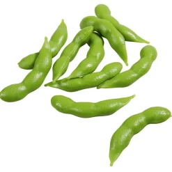 DecoWoerner Verduras Y Hierbas>Imitación De Judías s, 10 Piezas