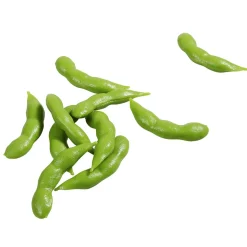 DecoWoerner Verduras Y Hierbas>Imitación De Judías s, 10 Piezas