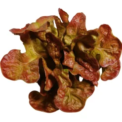 DecoWoerner Verduras Y Hierbas>Imitación De Lechuga De Hoja De Roble, Ø 23 Cm