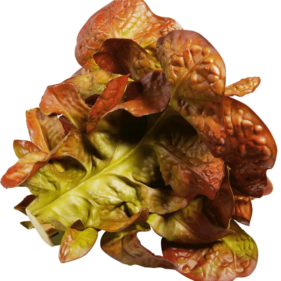 DecoWoerner Verduras Y Hierbas>Imitación De Lechuga De Hoja De Roble, Ø 23 Cm