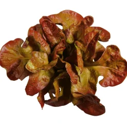 DecoWoerner Verduras Y Hierbas><noscript><img width=