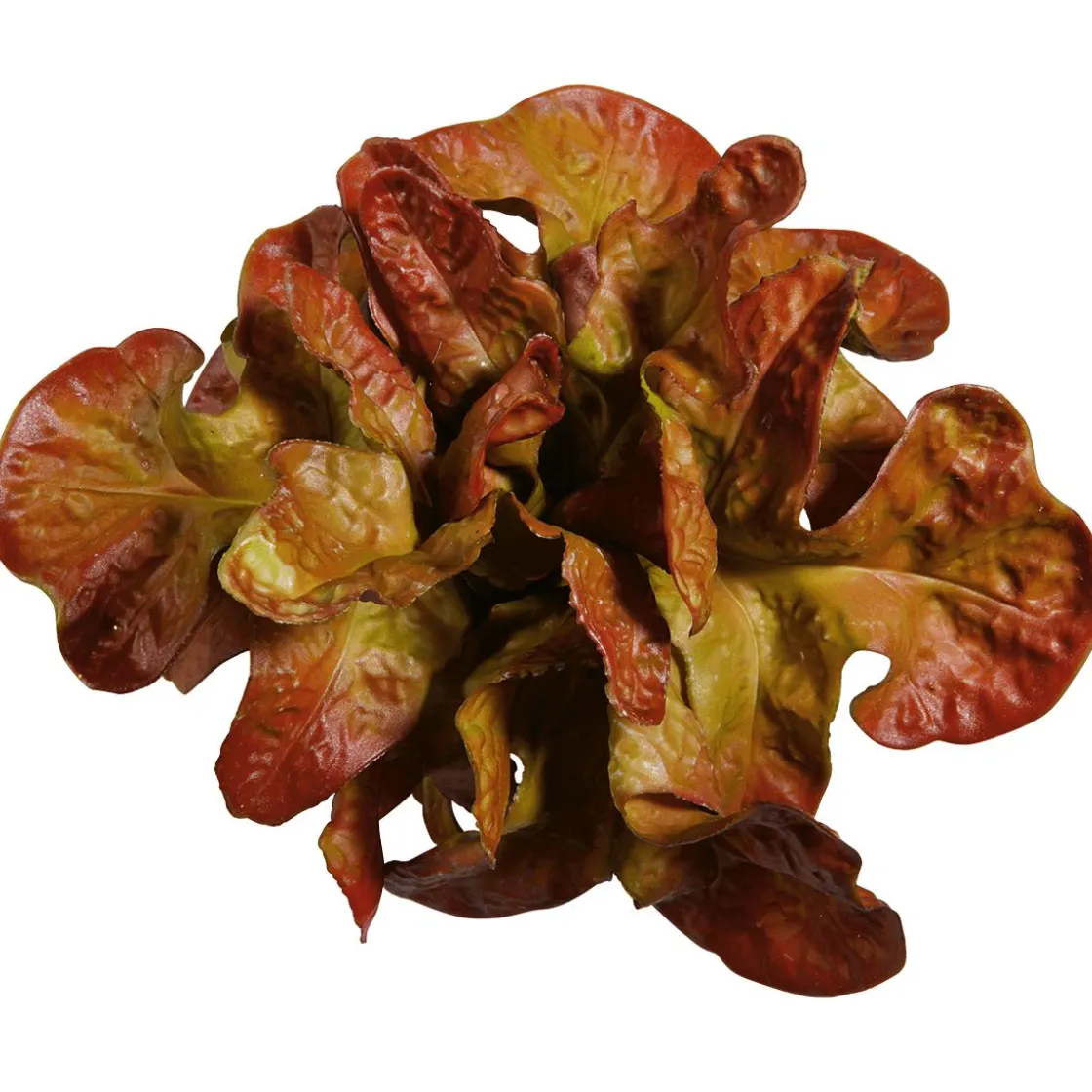 DecoWoerner Verduras Y Hierbas>Imitación De Lechuga De Hoja De Roble, Ø 23 Cm