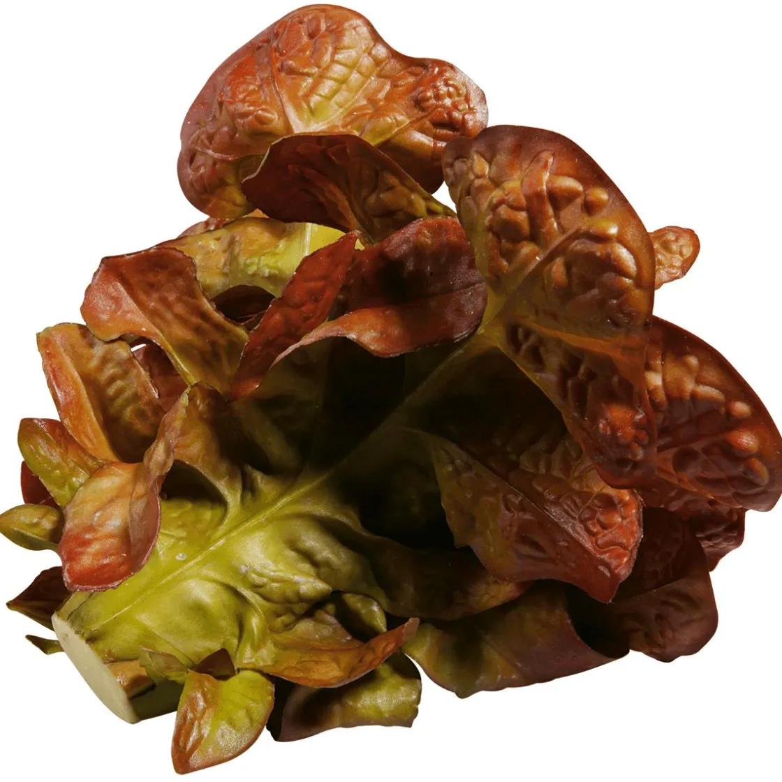 DecoWoerner Verduras Y Hierbas>Imitación De Lechuga De Hoja De Roble, Ø 23 Cm