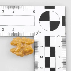 DecoWoerner Frutas>Imitación De Mitades De Nuez, 12 Piezas