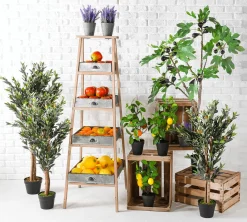 DecoWoerner Frutas><noscript><img width=