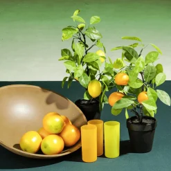DecoWoerner Frutas><noscript><img width=