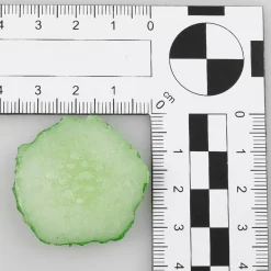 DecoWoerner Verduras Y Hierbas>Imitación De Rebanadas De Pepino, 6 Piezas