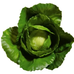 DecoWoerner Verduras Y Hierbas>Imitación De Repollo, Ø 13 Cm