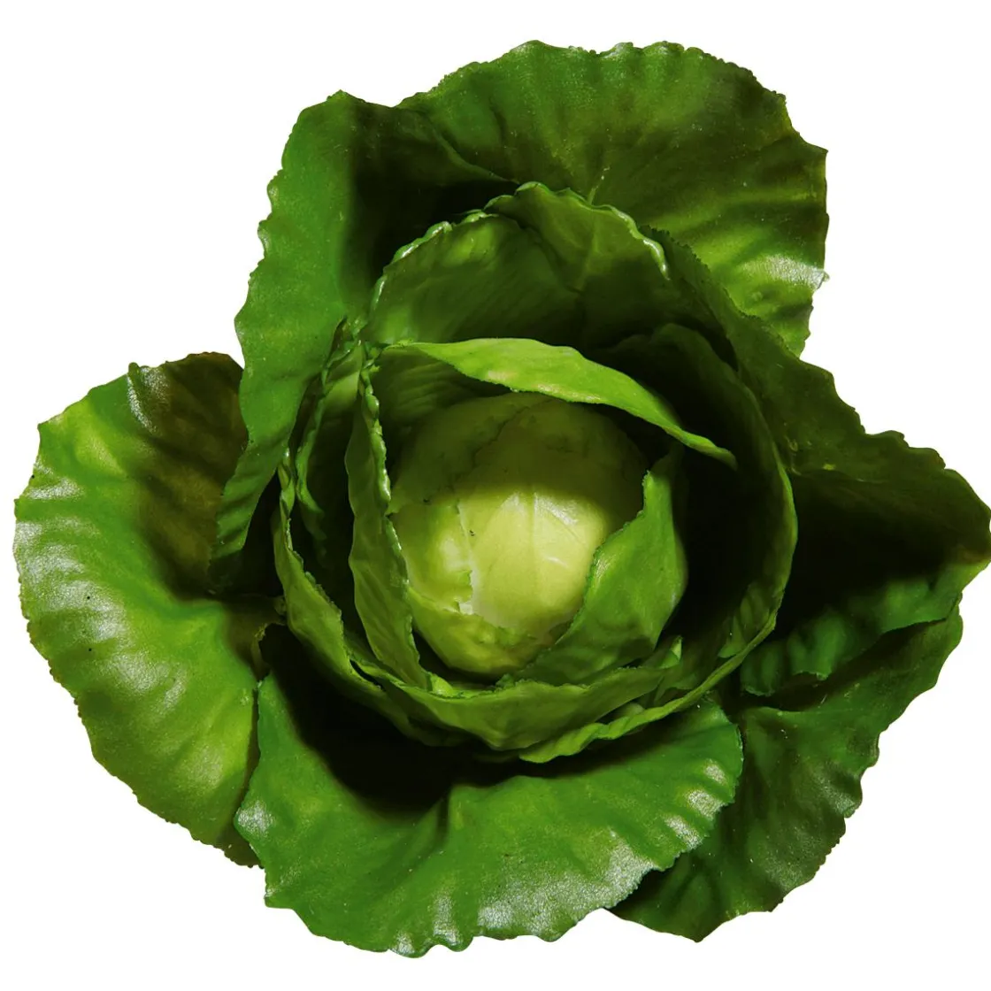DecoWoerner Verduras Y Hierbas>Imitación De Repollo, Ø 13 Cm