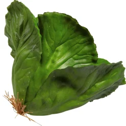 DecoWoerner Verduras Y Hierbas><noscript><img width=