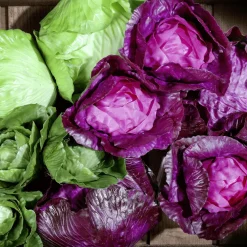 DecoWoerner Verduras Y Hierbas><noscript><img width=