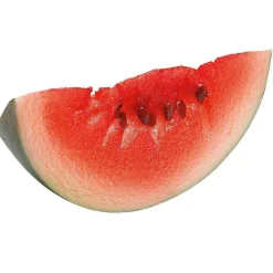 DecoWoerner Frutas>Imitación De Sandía 16 Cm