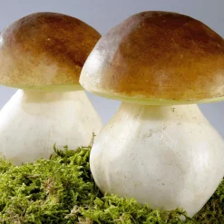 DecoWoerner Verduras Y Hierbas><noscript><img width=