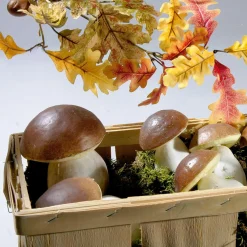 DecoWoerner Verduras Y Hierbas><noscript><img width=