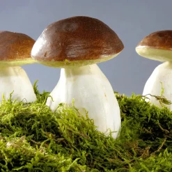 DecoWoerner Verduras Y Hierbas><noscript><img width=