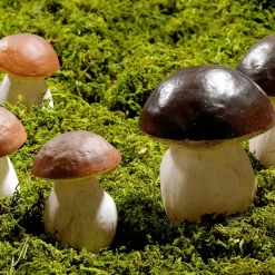 DecoWoerner Verduras Y Hierbas><noscript><img width=