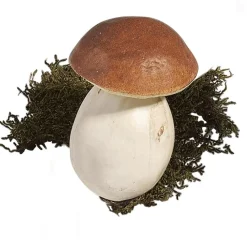 DecoWoerner Verduras Y Hierbas><noscript><img width=
