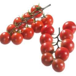 DecoWoerner Verduras Y Hierbas>Imitación De Tomates En Rama , 2 Ramas