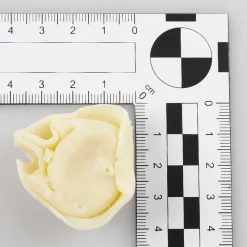 DecoWoerner Platos Y Comida Rápida>Imitación De Tortellini, 10 Unidades