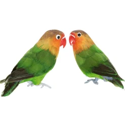 DecoWoerner Decoración De Animales|Decoración De Verano>Inseparable De Namibia Decorativo Sentado 20 Cm, 2 Piezas