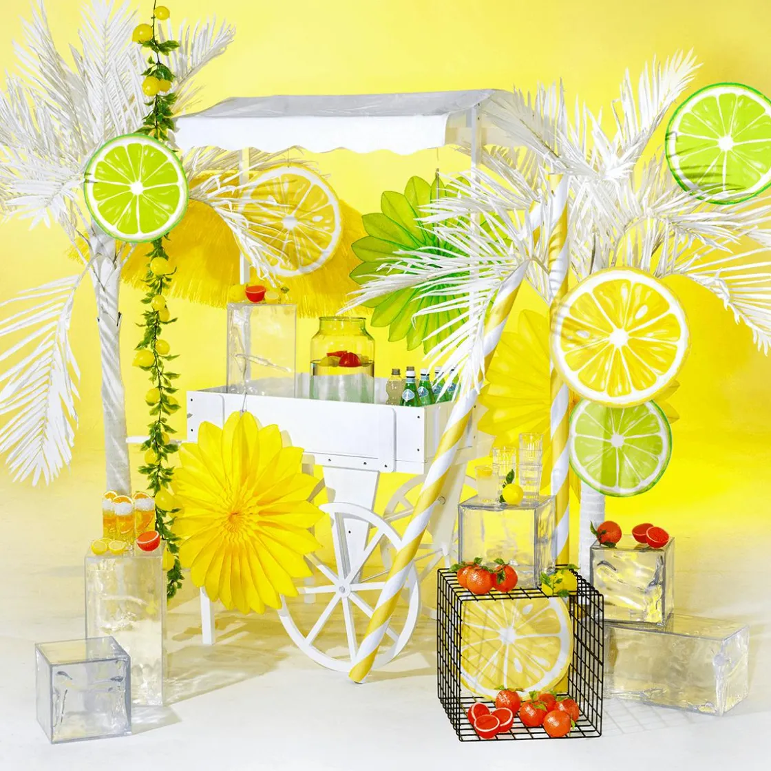 DecoWoerner Decoración De Verano>Juego De Exhibición Limette & Zitrone 35/40 Cm