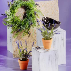 DecoWoerner Decoración De Primavera|Plantas De Interior><noscript><img width=