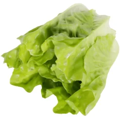 DecoWoerner Verduras Y Hierbas>Lechuga Romana