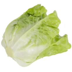 DecoWoerner Verduras Y Hierbas>Lechuga Romana