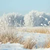 DecoWoerner Bandera Xxl|Decoración De Invierno>Lona XXL "Caña De Invierno" De Lona De Camión Ignífuga 250 X 330 Cm