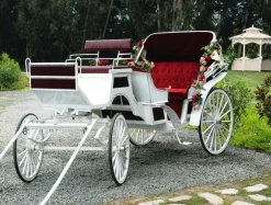 DecoWoerner Bandera Xxl|Decoración Temática>Lona XXL "Carroza De Boda Blanca" De Lona De Camión Ignífuga 250 X 330 Cm